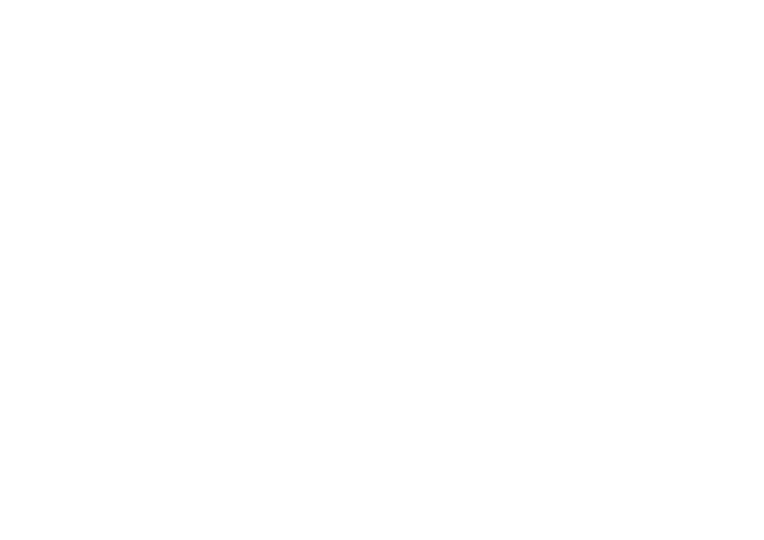 Spirits experience